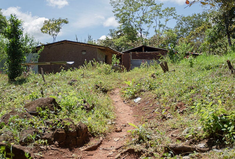 fuera de la casa de zuleika en panama rural