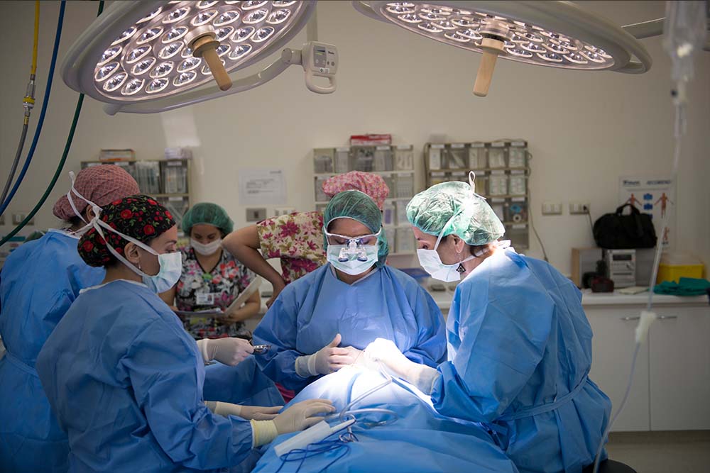 Dr. Gloria Performs cleft surgery under lights