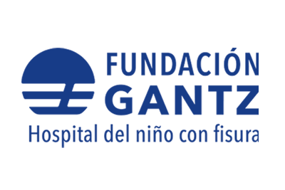 Fundacion Gantz