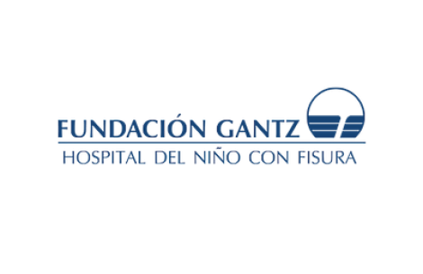 Fundacion Gantz